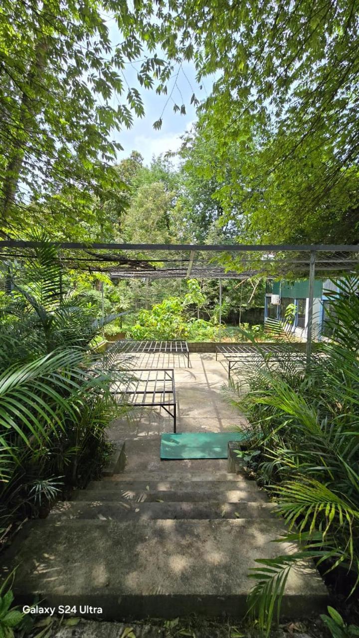Green Aura Private Villas Sultan Bathery Ngoại thất bức ảnh